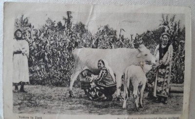 Carte postala, vedere la tara, in Romania, 1918 foto