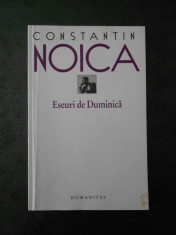 CONSTANTIN NOICA - ESEURI DE DUMINICA foto