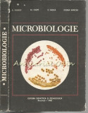 Microbiologie - A. Ivanof, M. Ciupe, C. Sasca