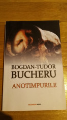 Bogdan-Tudor Bucheru - Anotimpurile Editura Millennium press SF foto