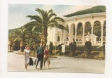 FA63-Carte Postala- GEORGIA - Abkhazia, Gagra, circulata 1975, Fotografie