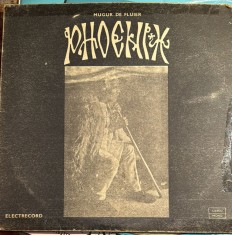 PHOENIX,MUGUR DE FLUIER/VINIL,STM-EDE 0968/MAPA SUDATA CU SCOTCH/FOLOSIT,BUNA ST foto