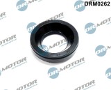 Etansare, Suport Injector 243957 DRM0262