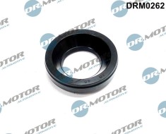 Etansare, Suport Injector 243957 DRM0262
