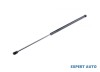 Telescop hayon Seat Leon 3 (2012-&gt;)[5F1] #1