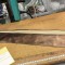 Curea Dama115cm #A8340han