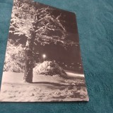 Cumpara ieftin CARTE POSTALA FELICITARE CIRCULATA