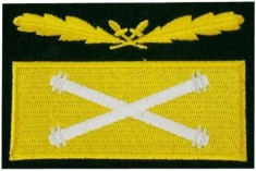 WW2 Ecuson Rank Camo German SS WH General FeldMarshal Sleeve