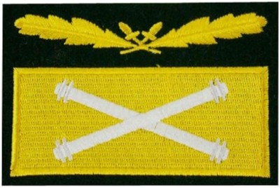 WW2 Ecuson Rank Camo German SS WH General FeldMarshal Sleeve foto