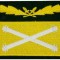 WW2 Ecuson Rank Camo German SS WH General FeldMarshal Sleeve