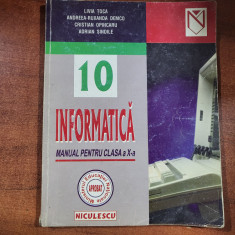 Informatica.Manual pentru clasa a X a de Livia Toca,Andreea Ruxandra Demco,etc