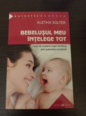 Aletha Solter - Bebelusul meu intelege tot