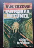 Intrarea &icirc;n tunel. Memorii I - Radu Ciuceanu