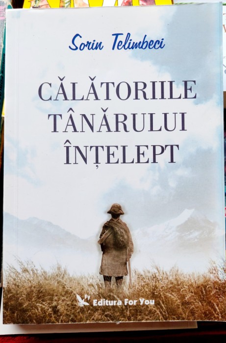 Calatoriile tanarului intelept - Sorin Telimbeci