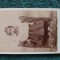 SUPERBA fotografie , 9 Martie ,anul 1897 ,atelier LOUIS BUCURESCI .Calea Mosilor .Copila .dimensiuni foto 11 cm x 6 cm