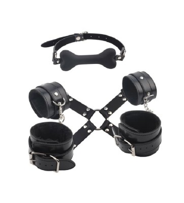 Set fetish Rosy Fully Restrain You Lover foto