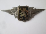 Belgia cuc/semn de arma vintage cascheta pilot/aviatie,dimensiuni:68 x 24 mm