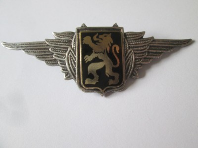 Belgia cuc/semn de arma vintage cascheta pilot/aviatie,dimensiuni:68 x 24 mm foto