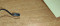 Foto  - 2