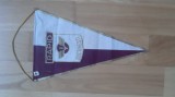 Rapid Bucuresti - fanion vechi si insigna / pin fotbal