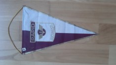 Rapid Bucuresti - fanion vechi si insigna / pin fotbal
