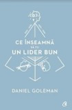 Cumpara ieftin Ce inseamna sa fii un lider bun/Daniel Goleman, Curtea Veche Publishing