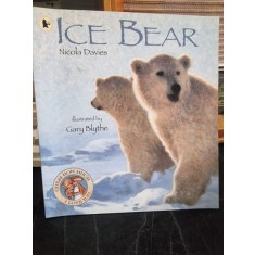 Ice Bear - Nicola davies