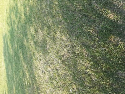 Teren intravilan de v&amp;acirc;nzare foto