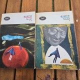 Faust - Goethe 2 volume