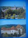 HOPCT LOT 3619 -2 CARTI POSTALE-TARNAVENI-JUD MURES-CIRCULATE, Circulata, Printata