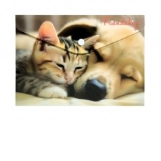 Mapa personalizata cu buton A4 PP Panta Plast, model Friendship