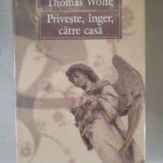 Priveste inger catre casa - Thomas Wolfe - editie de lux Polirom , 2008