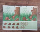 Plansa didactica dubla, anii 80 - Casuta melcului / Sala de Gimnastica