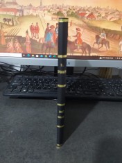 Henri Brocher, De l'enseignement du droit romain, Lausanne 1867, 217