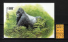 Congo, 2002 | Specii protejate - Gorila - Animale, Natură | NDT Rar! - MNH | aph, Fauna, Nestampilat