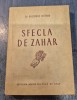 Sfecla de zahar Gheorghe Olteanu