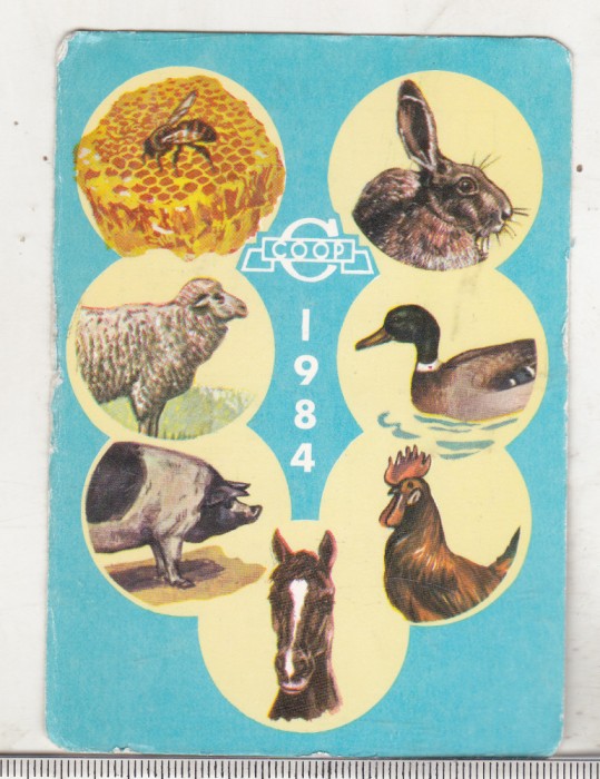 bnk cld Calendar de buzunar - 1984 - COOP