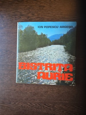 Bistrița Aurie - Ion Popescu-Argesel foto