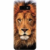 Husa silicon pentru Samsung Galaxy S10 Lite, Colorful Lion4