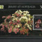 Jersey MNH 1999 - orhidee flora flori