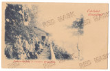 398 - BRASOV, Litho, Romania - old postcard - unused, Necirculata, Printata