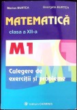 MATEMATICA CLASA A XII-A. M1. CULEGERE DE EXERCITII SI PROBLEME-MARIUS BURTEA, GEORGETA BURTEA-357666