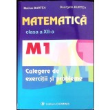 MATEMATICA CLASA A XII-A. M1. CULEGERE DE EXERCITII SI PROBLEME-MARIUS BURTEA, GEORGETA BURTEA-357666
