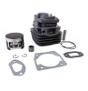 Kit Cilindru Drujba Chinezeasca 5200 45mm Roco - Piston, Bolt, Sigurante, Segmenti - Micul Padurar, Blade Alpin, Ruris