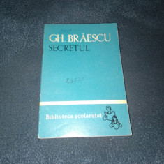 GH BRAESCU - SECRETUL