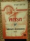 Pitesti marturii documentare vol I