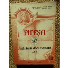 Pitesti marturii documentare vol I