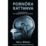 Porn&oacute;ra kattanva - Az internetporn&oacute; &eacute;s a f&uuml;ggős&eacute;gkutat&aacute;s &uacute;j tudom&aacute;nya - Gary Wilson