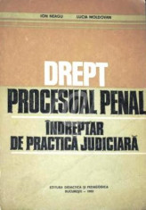 Drept procesual penal. Indreptar de practica judiciara foto