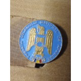 Insigne (3) MAI